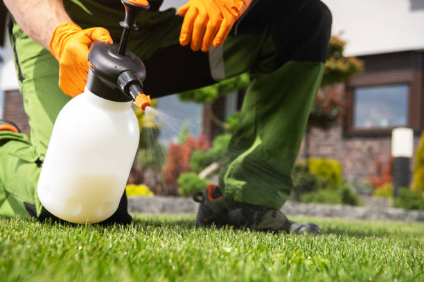 Best Emergency Pest Control  in Lucasville, OH