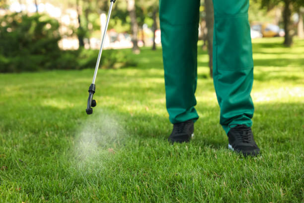 Best Termite Control Services  in Lucasville, OH