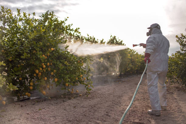 Best Pest Control Near Me  in Lucasville, OH