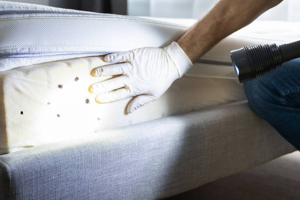 Best Best Pest Control Companies  in Lucasville, OH