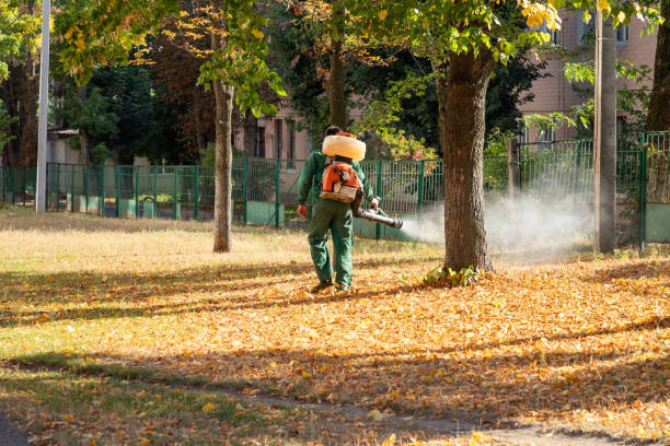 Best Pest Control Treatment  in Lucasville, OH