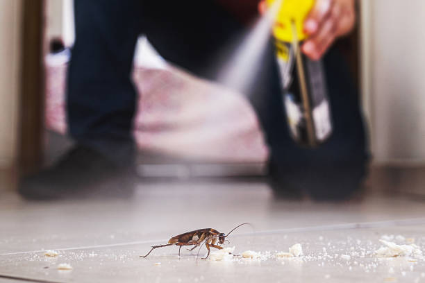 Best Commercial Pest Control Services  in Lucasville, OH