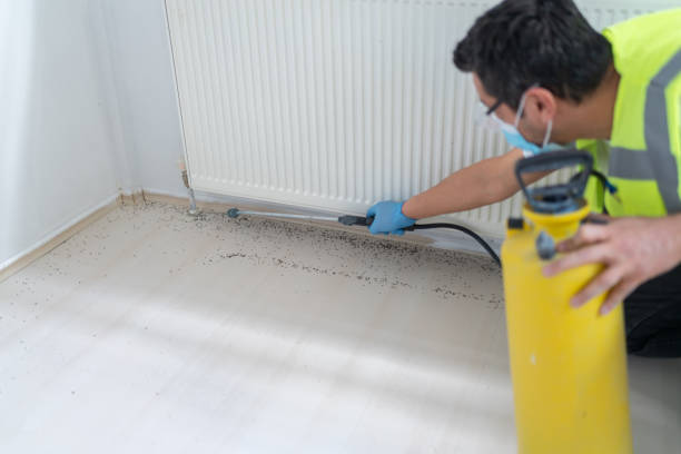 Best Pest Removal Services  in Lucasville, OH