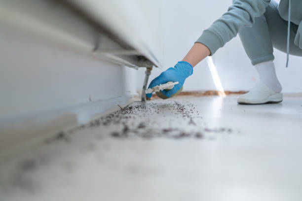 Pest Prevention Services in Lucasville, OH